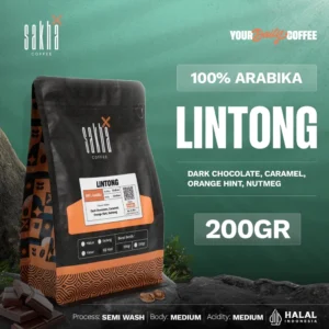 Lintong